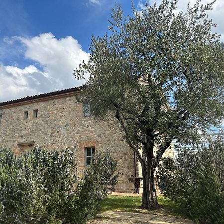 Borgo Cardaneto Bed and Breakfast Montone  Exteriör bild