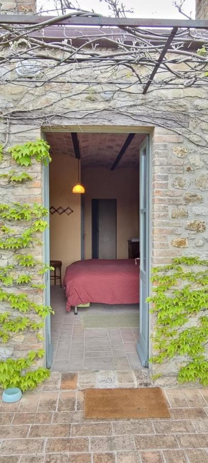 Borgo Cardaneto Bed and Breakfast Montone  Exteriör bild