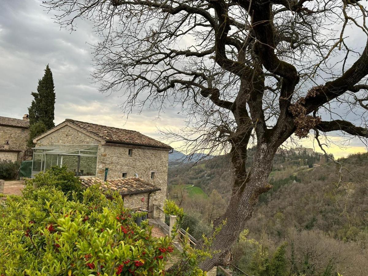 Borgo Cardaneto Bed and Breakfast Montone  Exteriör bild