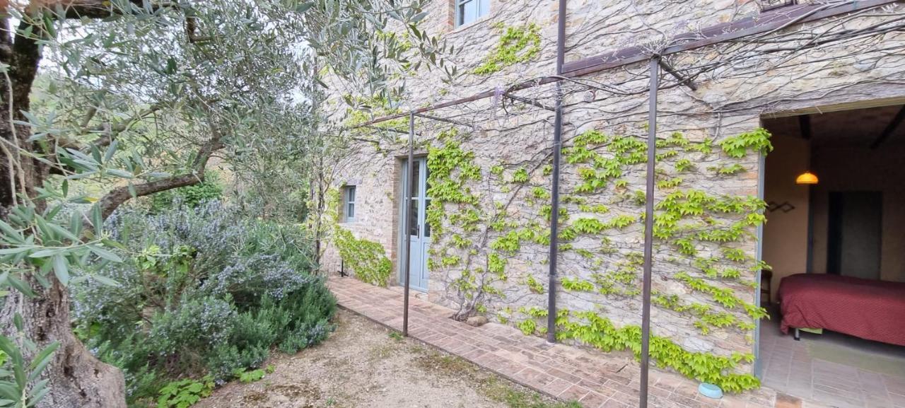 Borgo Cardaneto Bed and Breakfast Montone  Exteriör bild