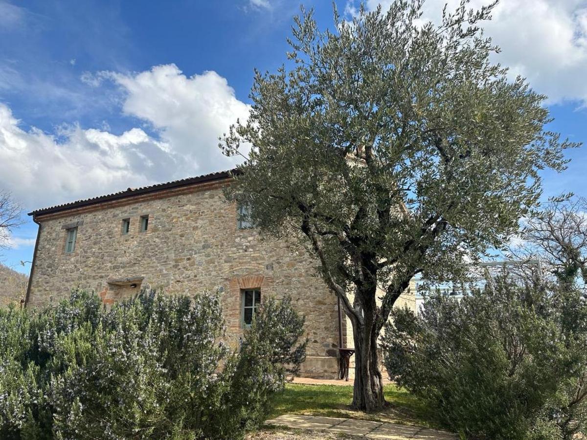 Borgo Cardaneto Bed and Breakfast Montone  Exteriör bild