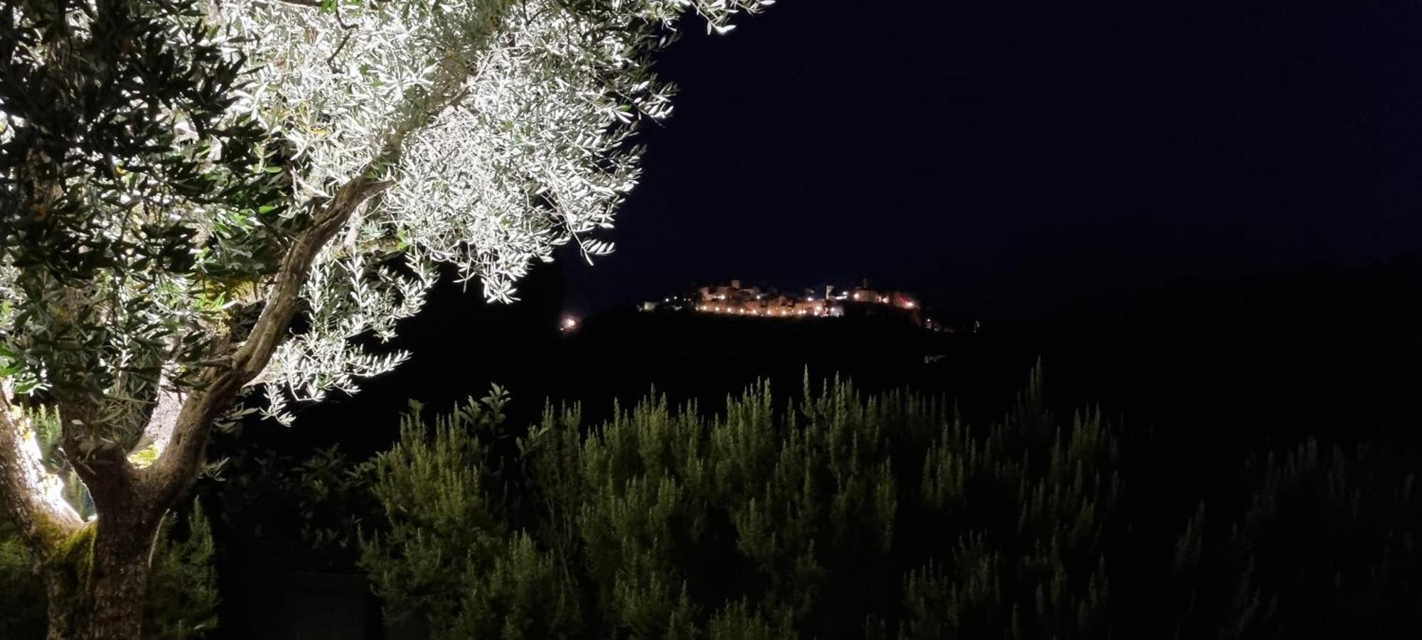 Borgo Cardaneto Bed and Breakfast Montone  Exteriör bild