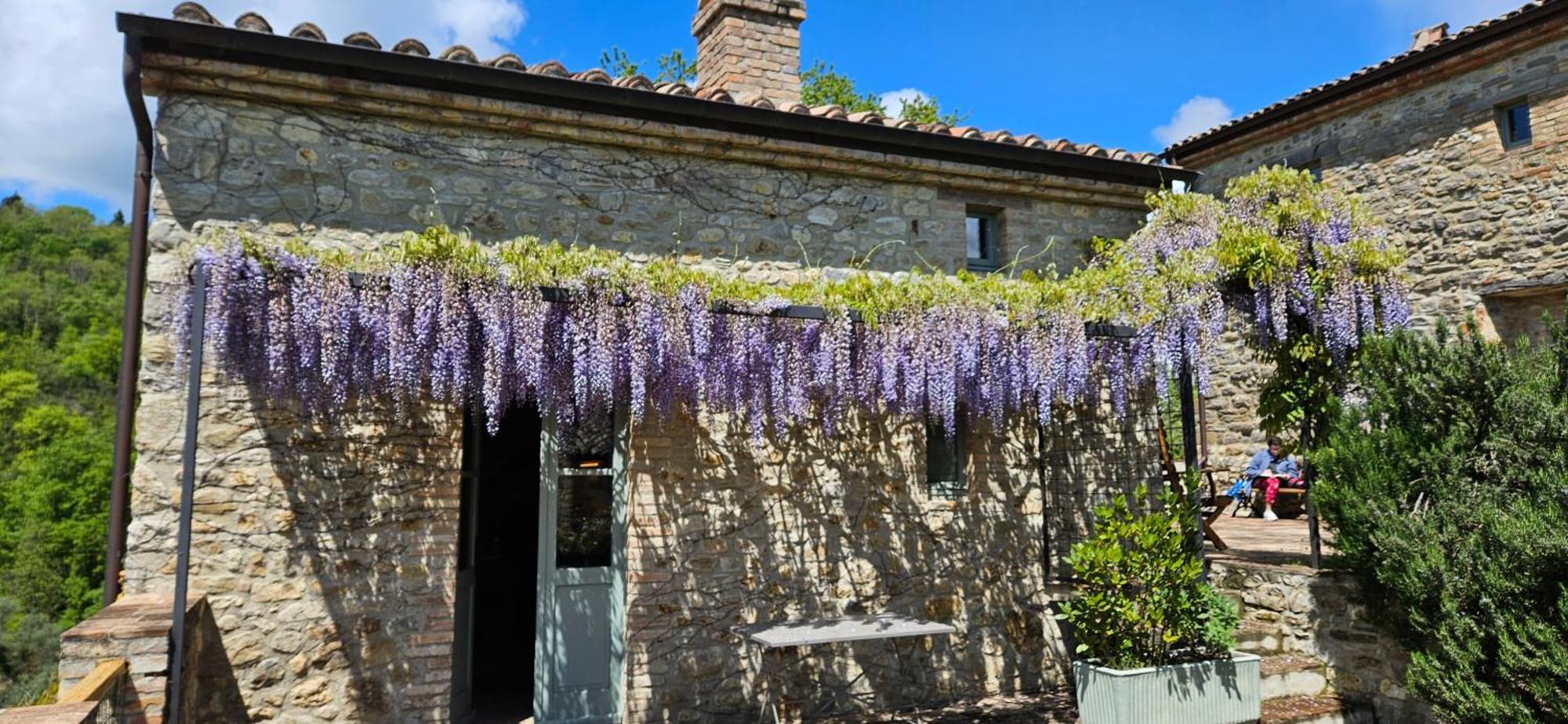 Borgo Cardaneto Bed and Breakfast Montone  Exteriör bild